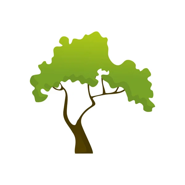Απομονωμένη κοινή ζούγκλα δέντρο φυτό εικονογράφηση — Διανυσματικό Αρχείο