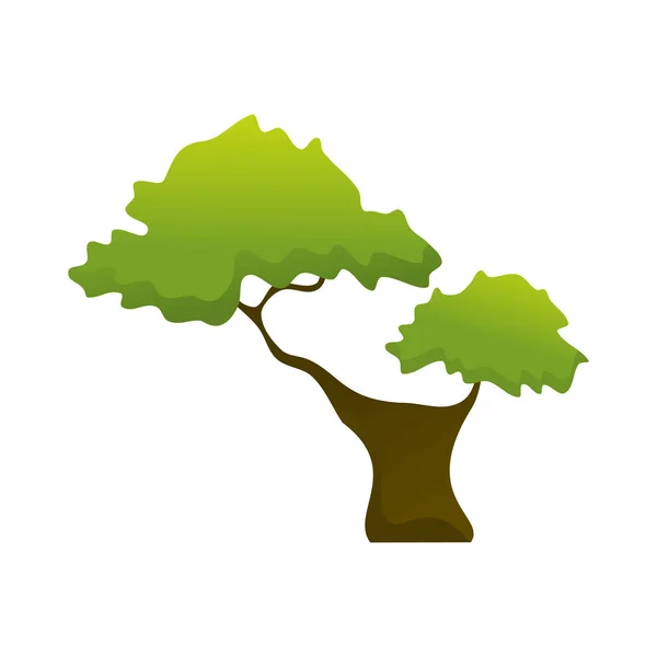 Ilustración de planta de árbol aislado de dos ramas — Vector de stock