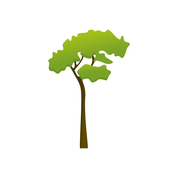 Ізольовані високі дерева рослин Ілюстрація — стоковий вектор