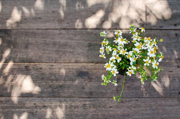 木製のテーブル、上面にデイジーの花 — ストック写真