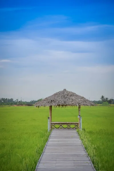 Pequena Cabana Meio Verde Arquivado Contra Céu Azul — Fotografia de Stock