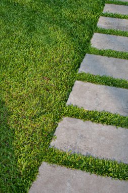 Bahçede betondan yapılmış yürüyüş yolu