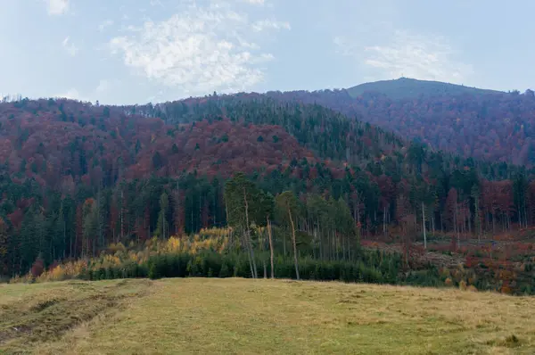 Karpat Dağları'nda sonbaharlar