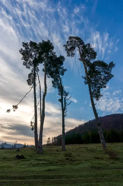 Karpat Dağları'sonbaharda hiking