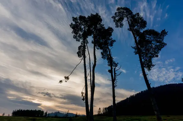 Karpat Dağları'nda sonbaharlar