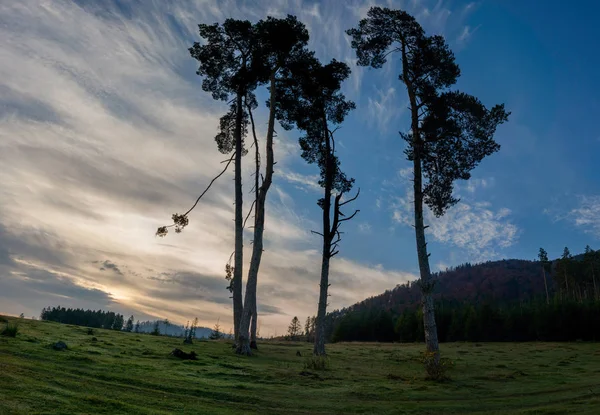 Karpat Dağları'sonbaharda hiking