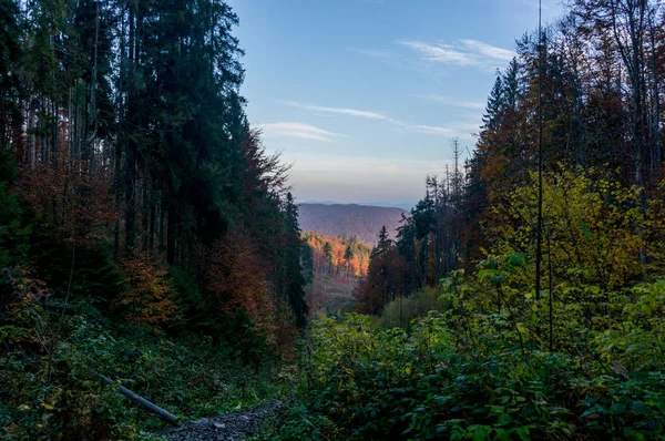 Karpat Dağları'nda sonbaharlar