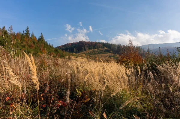 Karpat Dağlarında Sonbahar