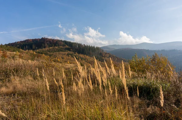 Karpat Dağlarında Sonbahar