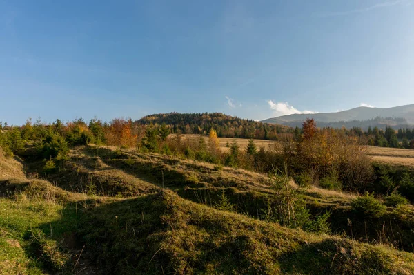 Karpat Dağlarında Sonbahar