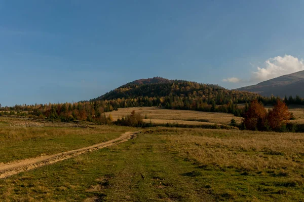 Karpat Dağlarında Sonbahar