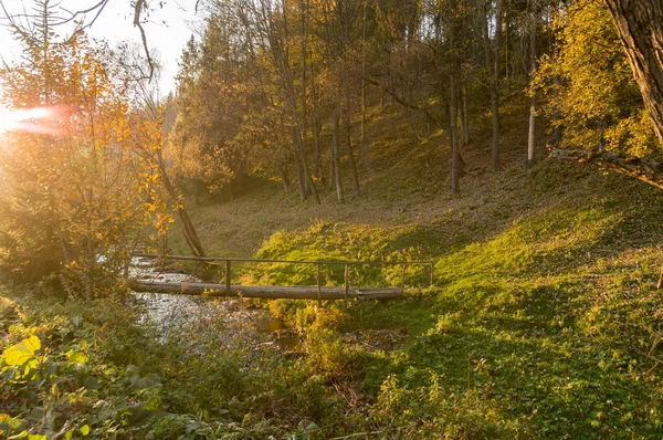 Karpat Dağlarında Sonbahar