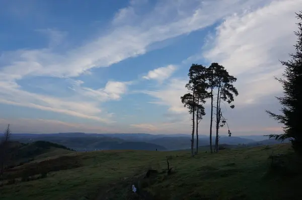 Kontrast Karpat Dağları'nda oyunu
