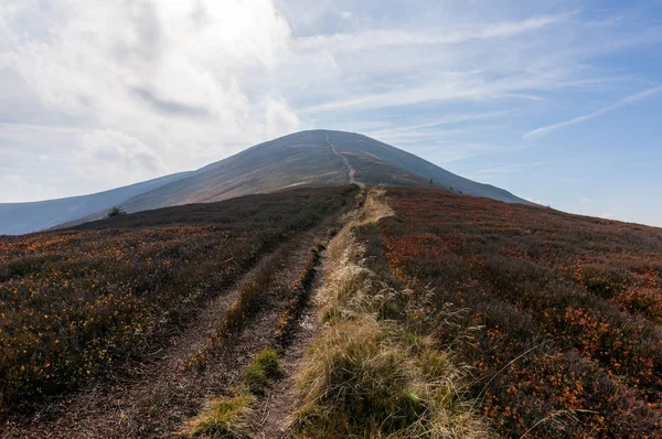 Karpat Dağlarında Sonbahar