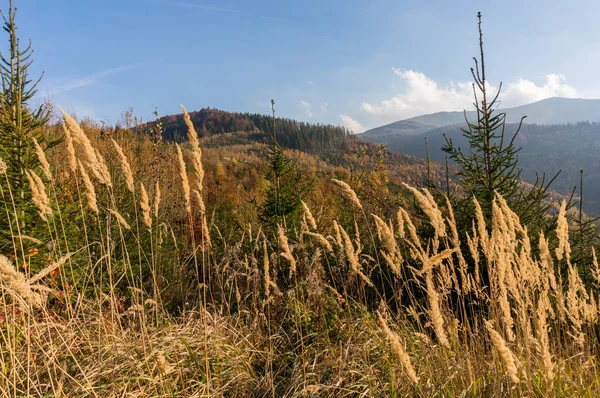 Karpat Dağları sonbaharın güzelliği