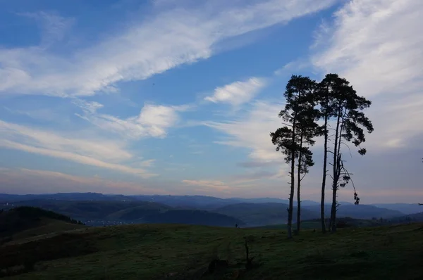 Karpatlar'da kontrast fotoğrafı