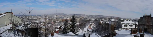 Lviv panorama kışın