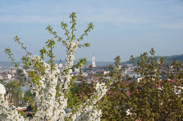 Lviv güneşli sabah!!!