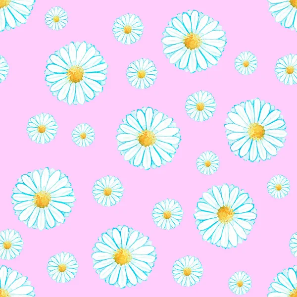 Seamless chamomile daisy pattern
