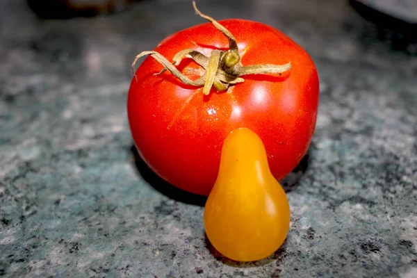 Deux Tomates Rouge Jaune — Photo