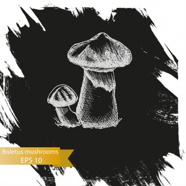 Kroki - çörek mantarı.