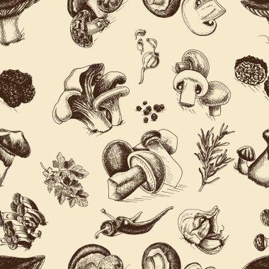  illüstrasyon kroki - mantar 