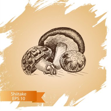 Kroki - mantar. Shiitake