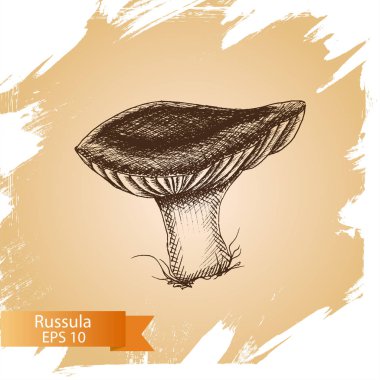 Kroki - Russula mantar.