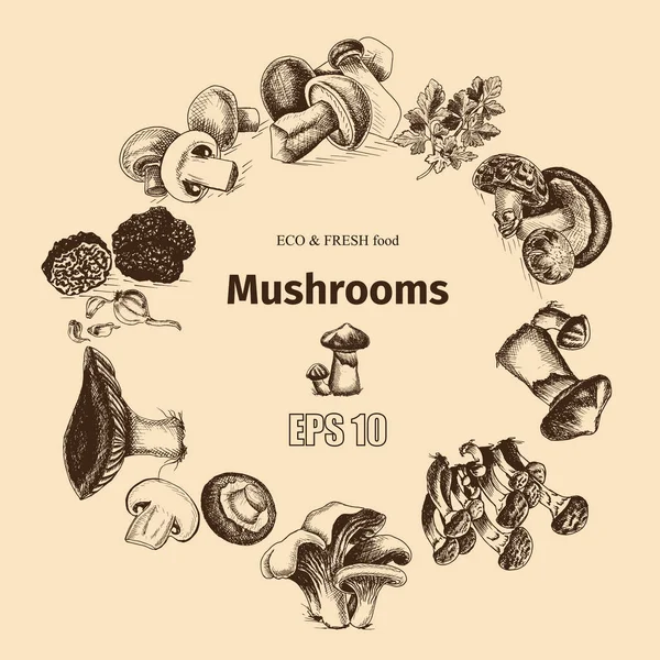 插画素描-蘑菇 — 图库矢量图片