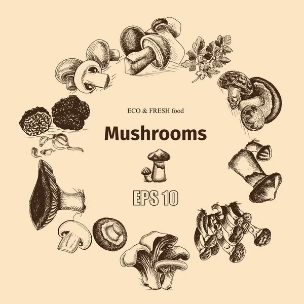 Schizzo illustrazione - funghi — Vettoriale Stock