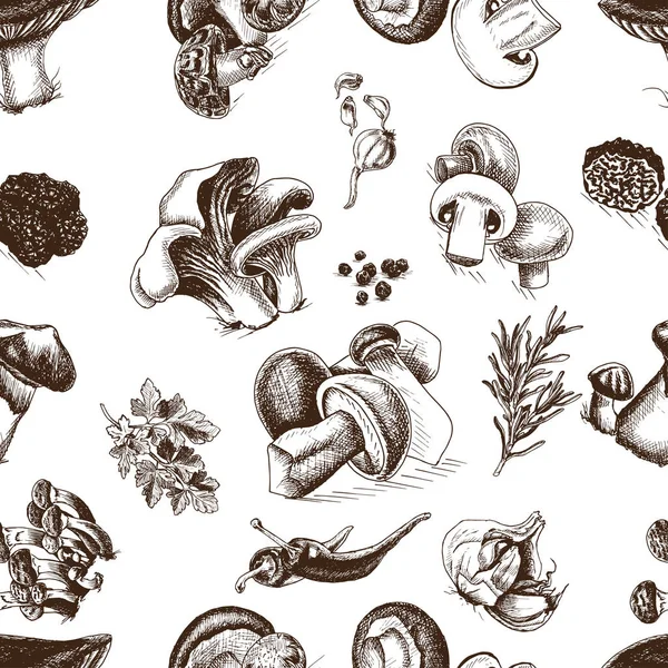 Schizzo illustrazione - funghi — Vettoriale Stock