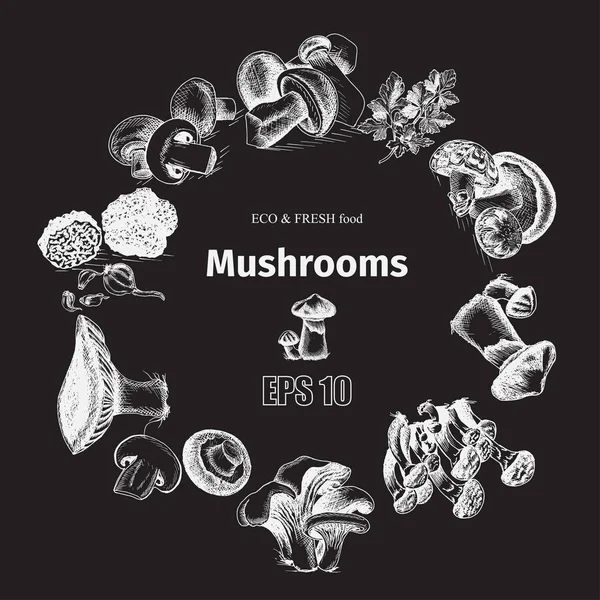 Illustration sketch - mushrooms — Stock Vector