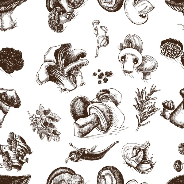Illustration sketch - mushrooms — Stock Illustration Illustration sketch - mushrooms Stock Vector