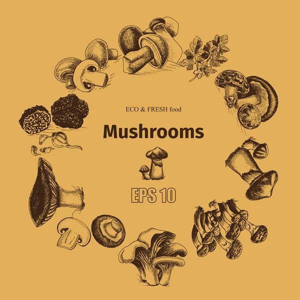 Illustration sketch - mushrooms — Stock Illustration Illustration sketch - mushrooms Stock Illustration