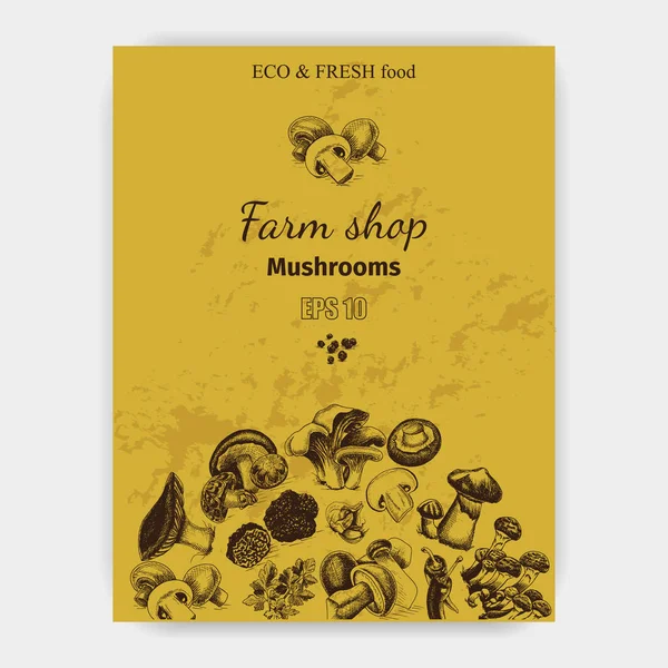 Illustration sketch - mushrooms — Stock Illustration Illustration sketch - mushrooms Vector Graphics