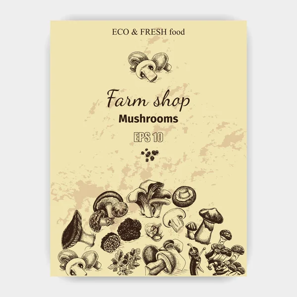 Illustration sketch - mushrooms — Stock Illustration Illustration sketch - mushrooms Vector Graphics