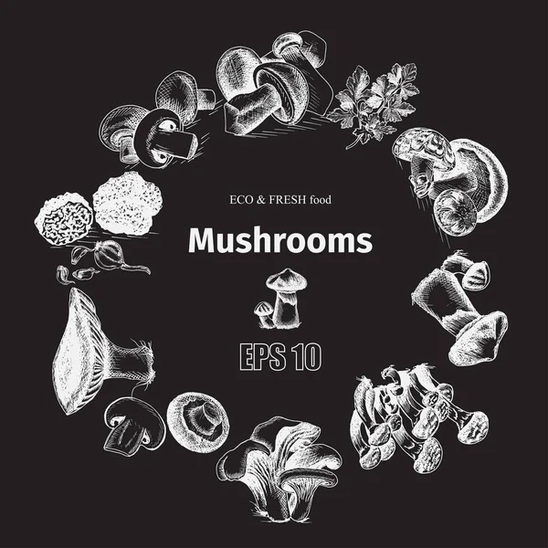 Illustration sketch - mushrooms — Stock Illustration Illustration sketch - mushrooms Royalty Free Stock Vectors