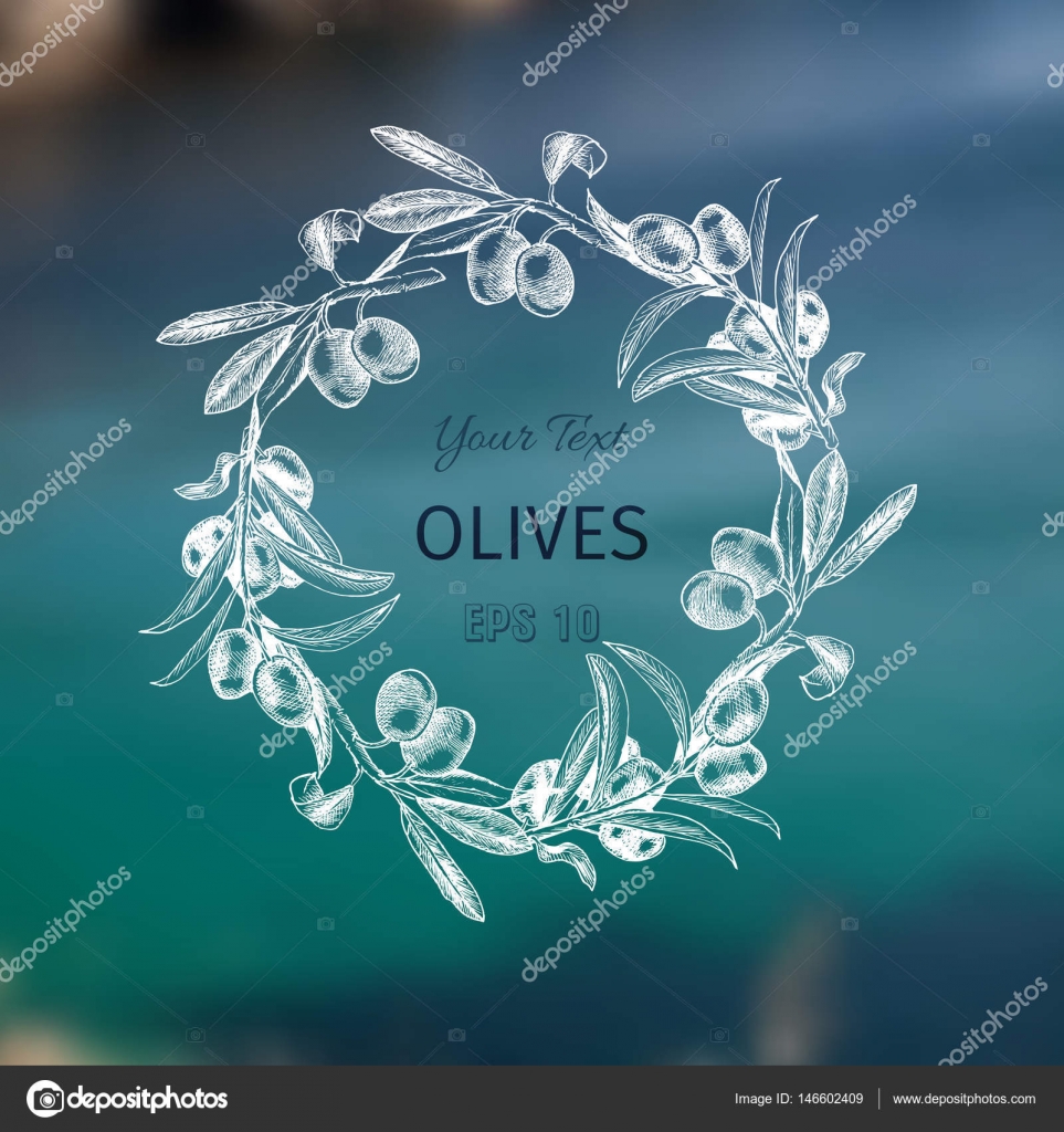 Olive branch wreath. Stock Vector by ©art-romashka 146602409