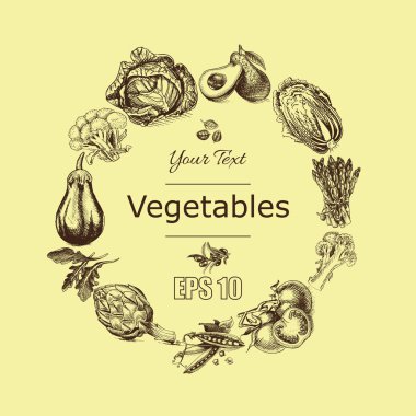  sebze illüstrasyon kroki. 