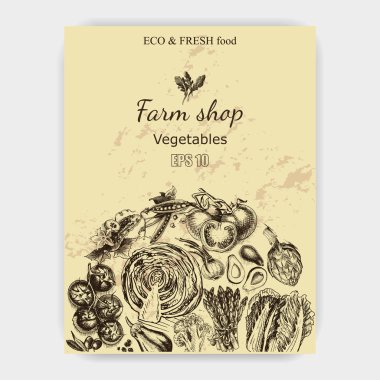 sebze illüstrasyon kroki.