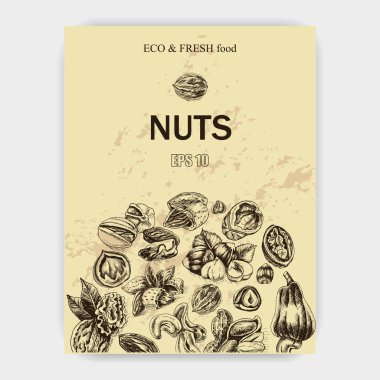 arka plan kroki fındık