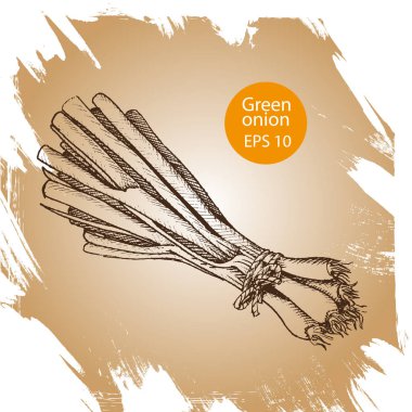 arka plan kroki yeşil soğan. 