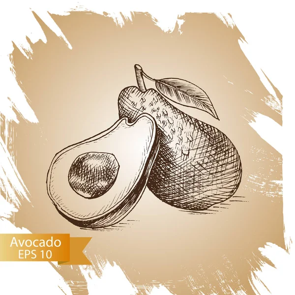 Illustration Skizze Avocado. Gemüse. — Stockvektor