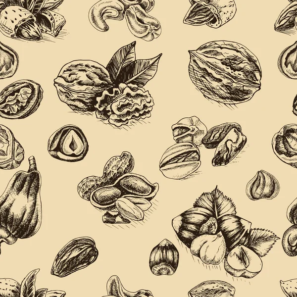 Vlašské ořechy pozadí skici — Stockový vektor