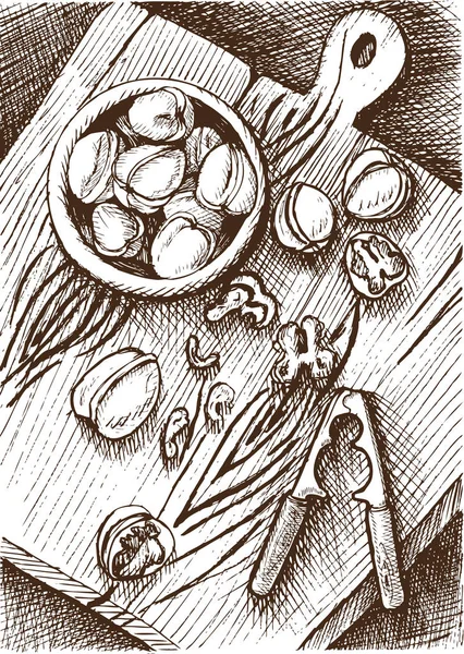 Skizze Walnüsse Lebensmittelkarte Illustration — Stockvektor