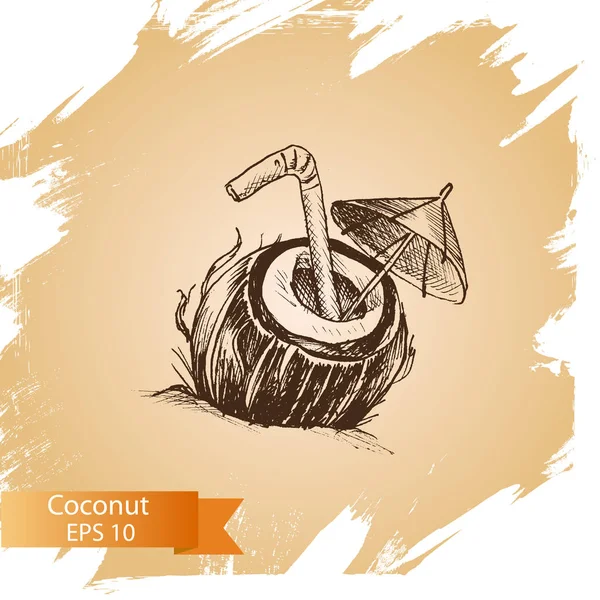 Ilustracja kokos szkicu. — Wektor stockowy