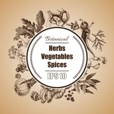 Vektör arka plan - baharatlar, bitkiler, sebze.