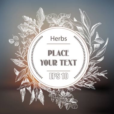 Vektör arka plan kroki otlar. Otlar - defne yaprağı, dere otu, kekik, adaçayı, biberiye, fesleğen, maydanoz, roka.