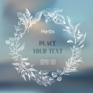 Vektör arka plan kroki otlar. Otlar - defne yaprağı, dere otu, kekik, adaçayı, biberiye, fesleğen, maydanoz, roka.