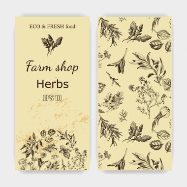 Vektör arka plan kroki otlar. Otlar - defne yaprağı, dere otu, kekik, adaçayı, biberiye, fesleğen, maydanoz, roka.